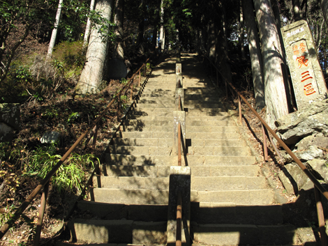 20151228hike (59)